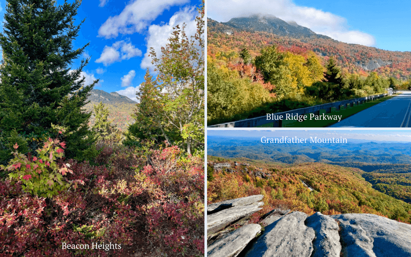 Beacon Heights and nearby attraction