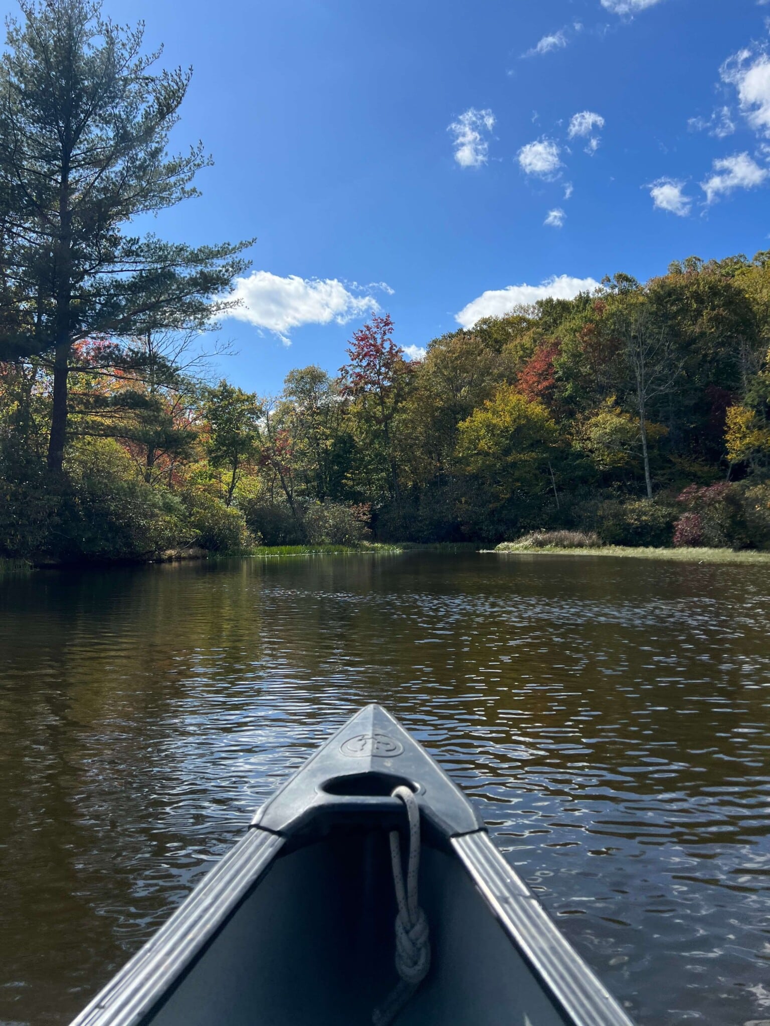 boat in Price Lake