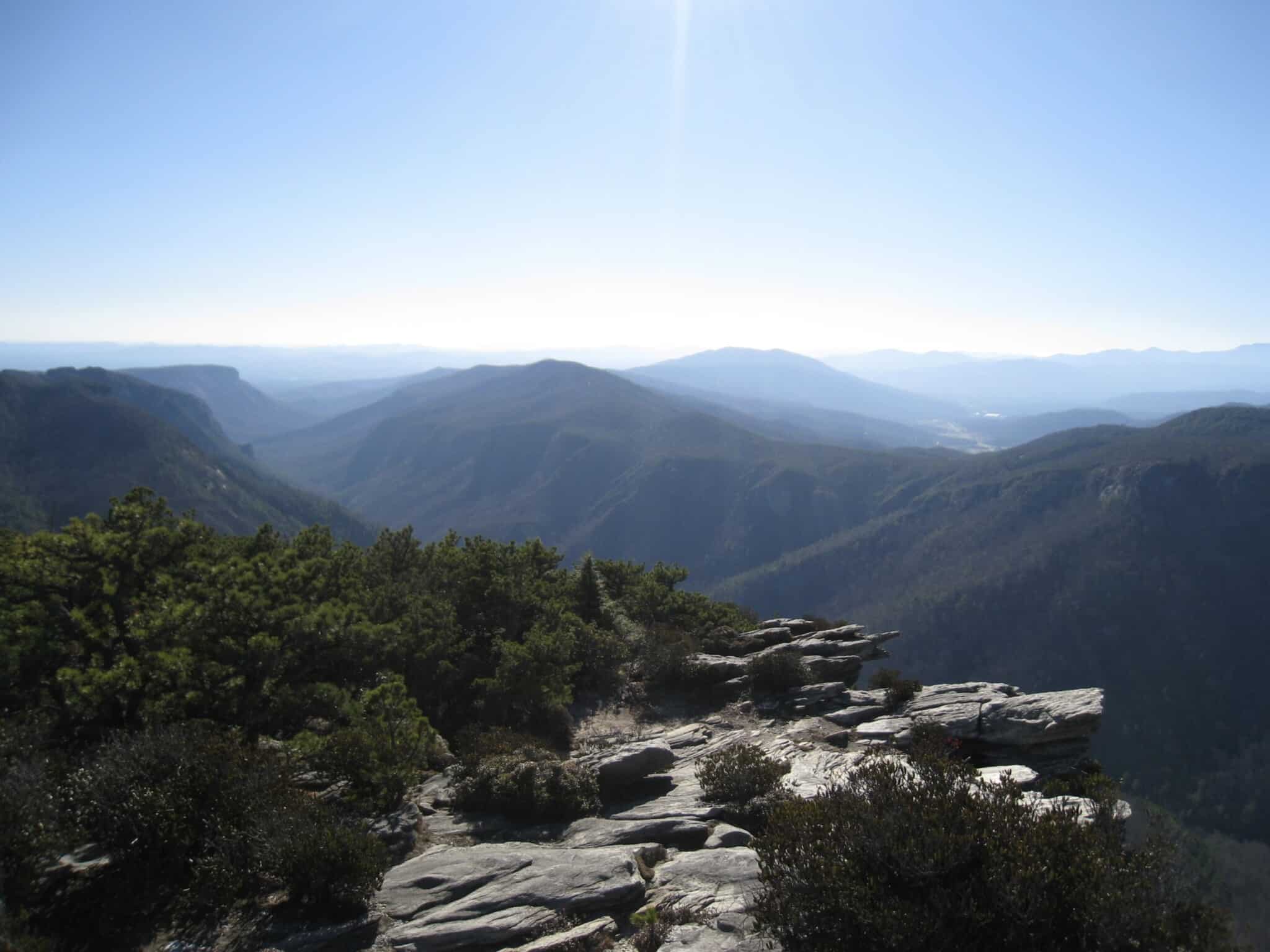 Hawksbill Trail