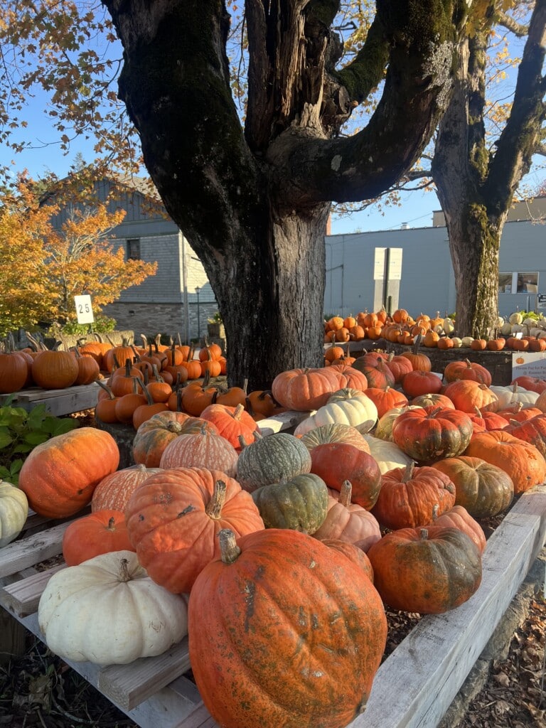 Fall activities in the High Country
