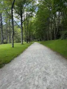 Bass Lake Flat Walking Path