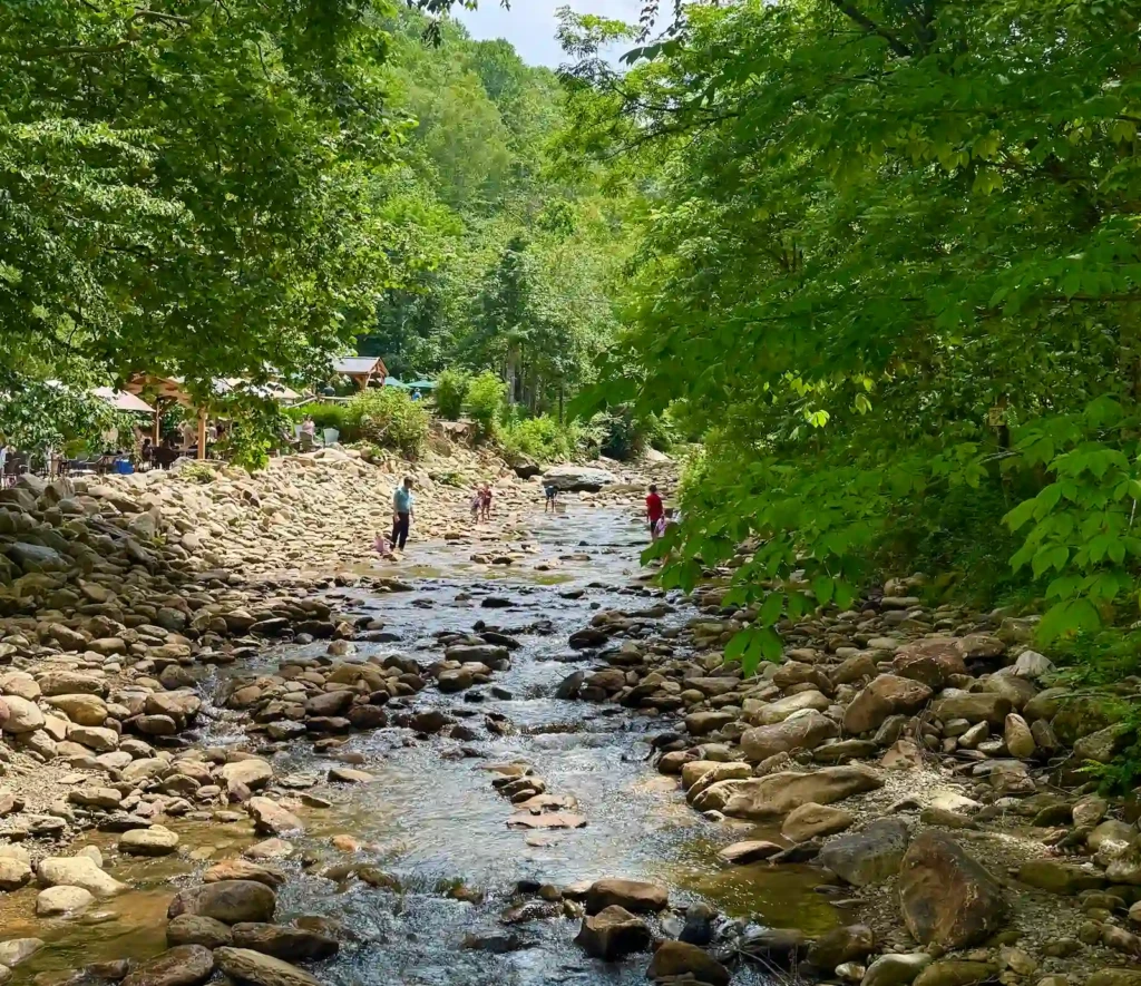 Grandfather Vineyard on Watauga River