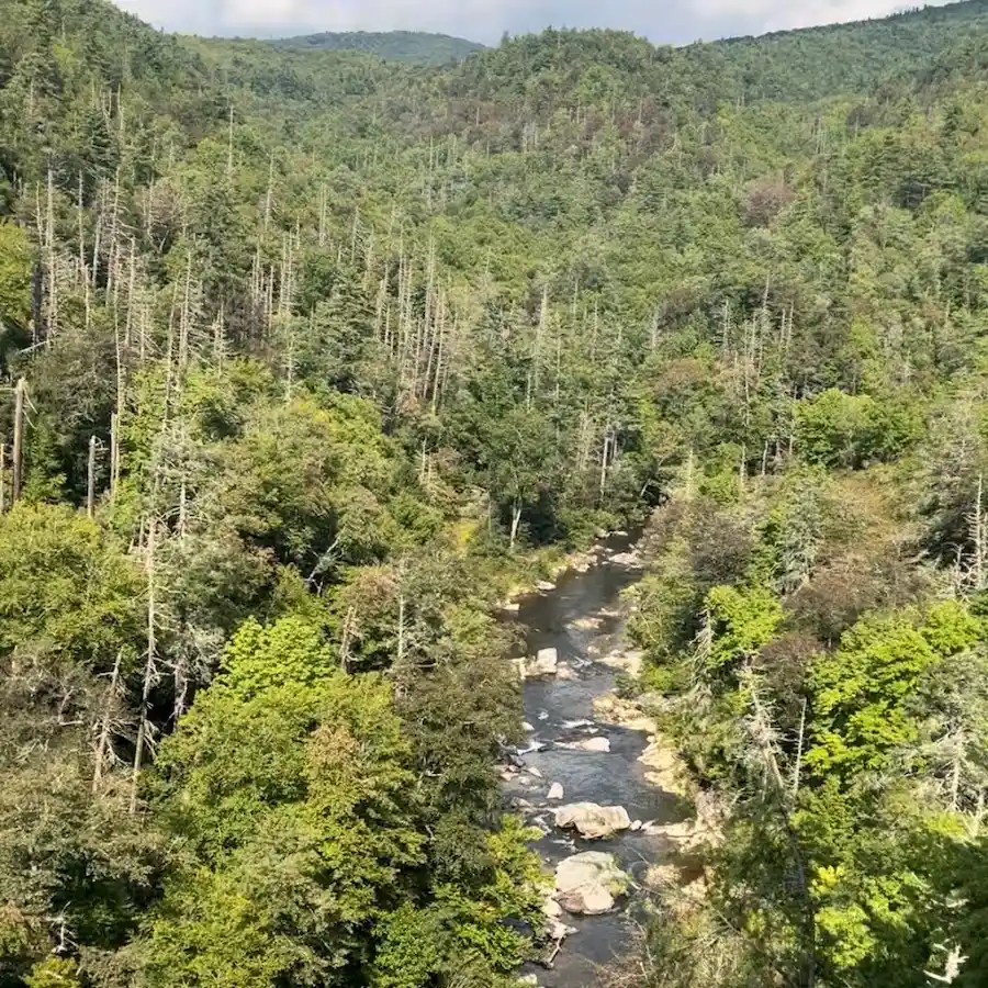 Water flowing into the gorge at Linville Falls along the Blue Ridge Parkway