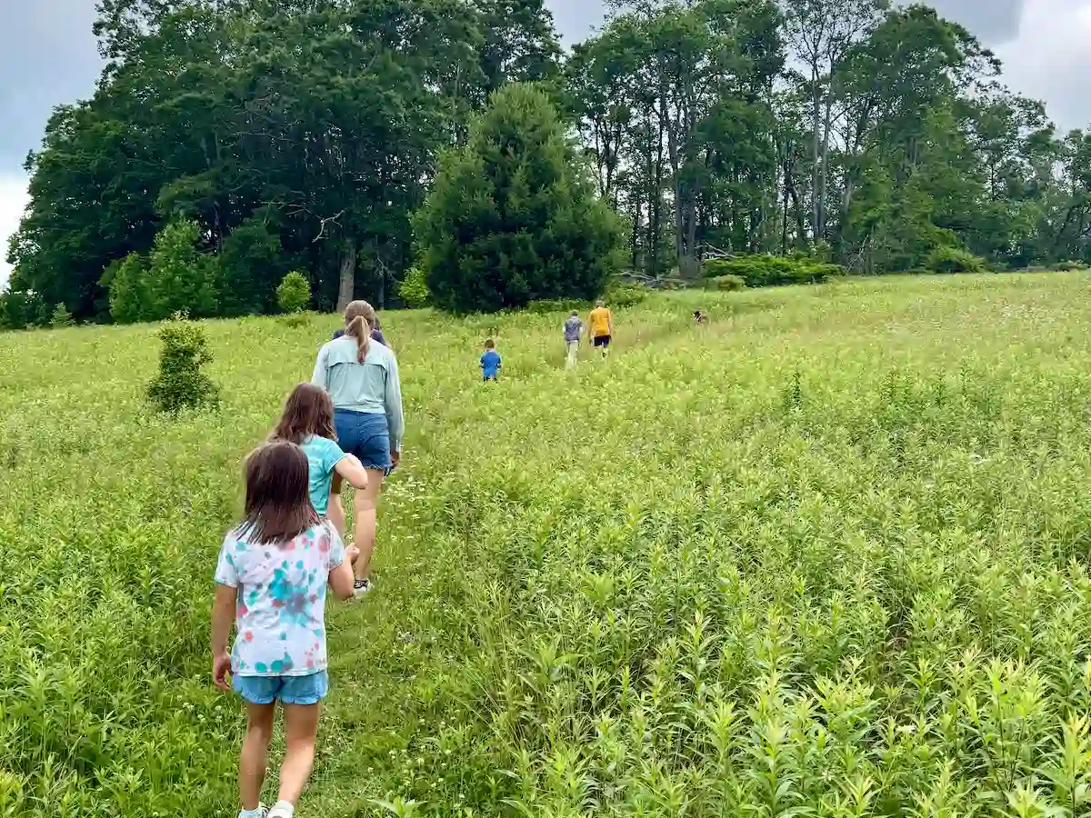 Price Lake Along the Blue Ridge Parkway is Walkable from Hemlock Hill Cabin